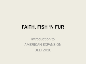 faith, fish *n fur