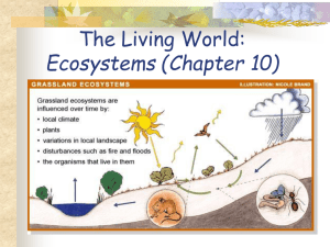 L64-Chapter 10 - Ecosystems - ST