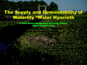 “water hyacinth”, a solid waste material. Barangay Pantay Fatima