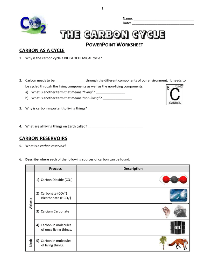 The Carbon Cycle - PowerPoint Worksheet Regarding Carbon Cycle Worksheet Answers