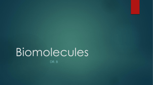biomolecules introduction