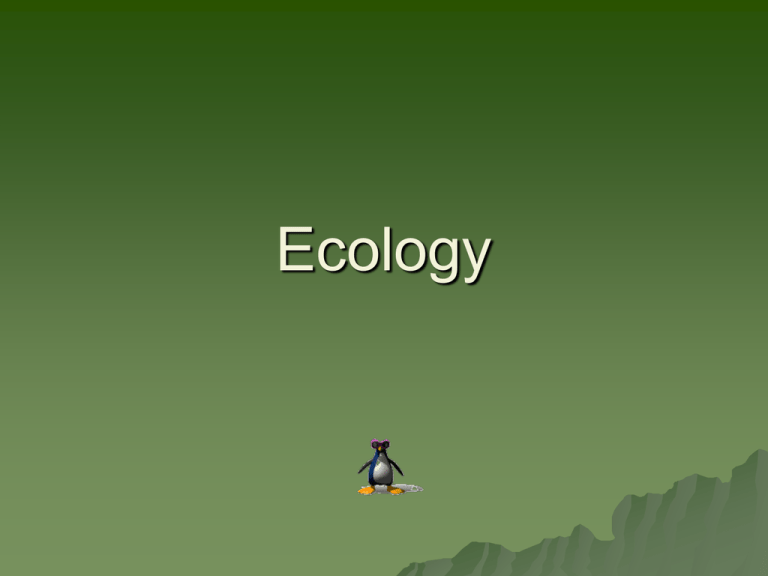 What Does Ecology Mean In Business