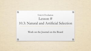Unit 4: Evolution Lesson # 10.3: Natural and Artificial Selection