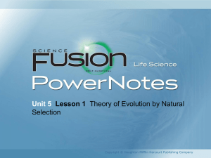 Fusion Unit 5 Lesson 1 PowerNotes