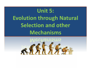 Unit 5: Evolution through Natural Selection and other
