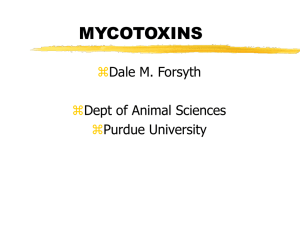 mycotoxins - Animal Sciences