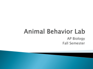 Animal Behavior Lab