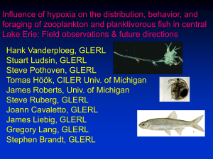 Influence of Hypoxia on the Distribution, Behavior, and Foraging of
