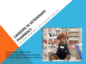 Careers In Veterinary Pharmacy - Society of Veterinary Hospital
