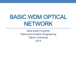 basic wdm optical network