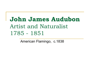 John James Audubon [1785 – 1851] lesson 10