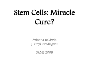 Stem Cells