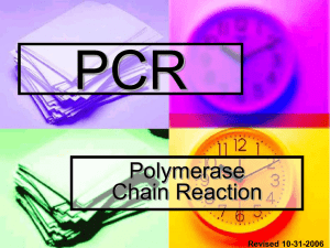 PCR Powerpoint