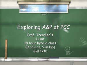 Exploring A&P at PCC