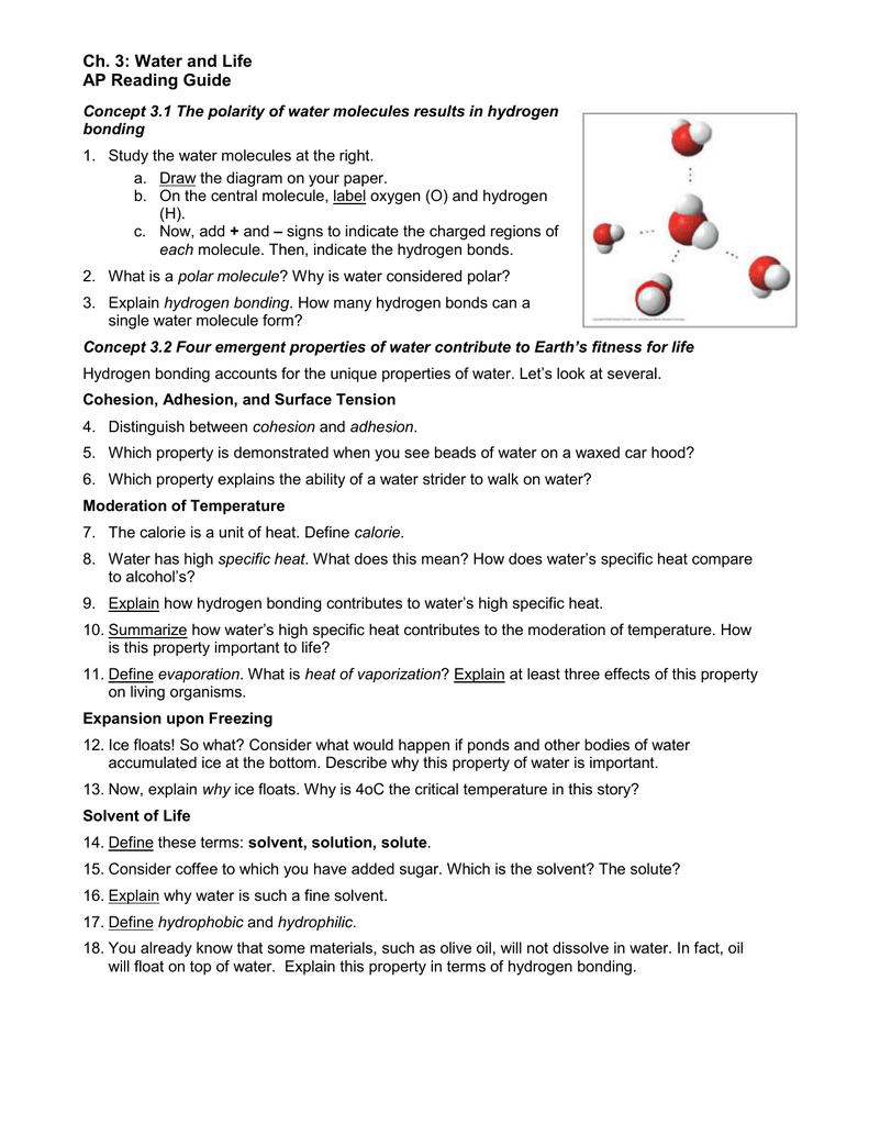 chapter 26 ap bio study guide answers