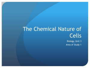 The Chemical Nature of Cells student copy