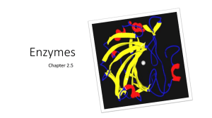 Enzymes - s3.amazonaws.com