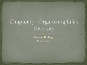 Chapter 17: Organizing Life*s Diversity