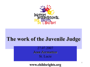 The Work of the Juvenile Judge by Jean Zermatten