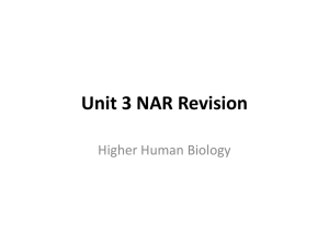 Unit 3 NAR Revision