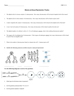 English Essay Books La Conscience Dissertation Philosophique Studylib Net Free Essay On The Differences Between Mitosis And Meiosis Mitosis English As A Second Language Essay also Model English Essays Writing A Case Study American Veterinary Chiropractic Association Teaching Essay Writing To High School Students