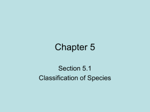 5.1- Classification of Organisms