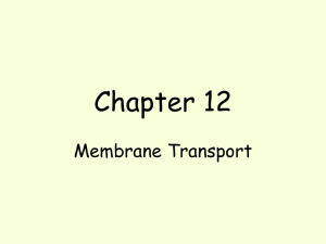 Membrane Transport - POWERPOINT PRESENTATION