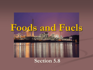 Foods and Fuels
