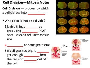Notes for Mitosis20PowerPoint1