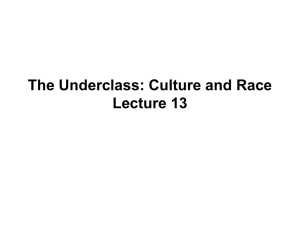 The Underclass: Culture and Race Lecture 13
