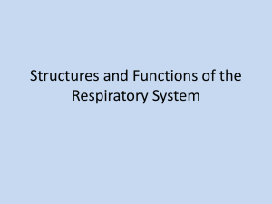 16_01 Structure and function