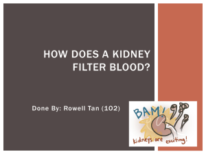 How does a kidney filter blood