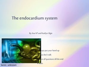 The endocardium system