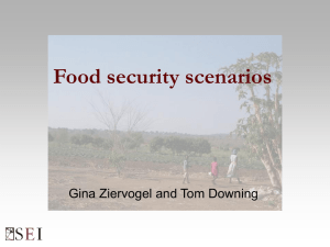 Food security scenarios