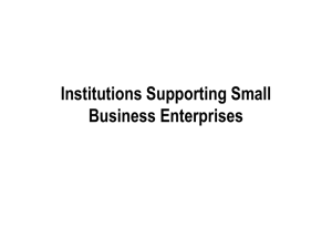 Institutions supporting Small Business Enterprises