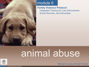 Module 6 Animal Abuse ppt