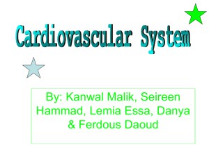 Cardiovascular System Kanwal Seireen Lemia Danya