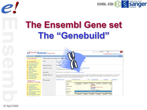 Ensembl Genebuild