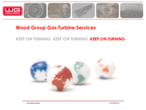 Wood Group- GTS PRODUCTS SERVICES JAN 08