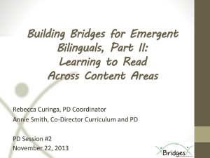 An introduction to Bridges practices