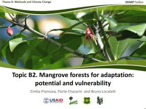 Part 1. Climate change impacts on mangroves