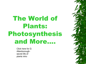 IB-Photosynthesis-PPt-2015