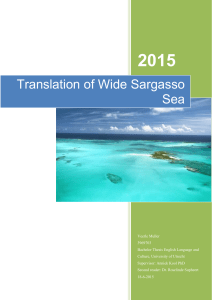 Translation of Wide Sargasso Sea