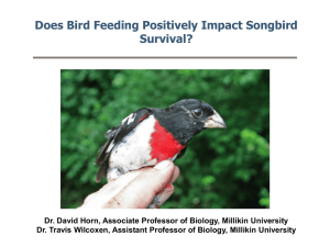 Does Bird Feeding Positively Impact Songbird Survival?