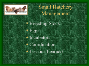 Small Hatchery Management