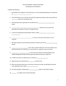 Electrocardiography: Chapter 8 Worksheet