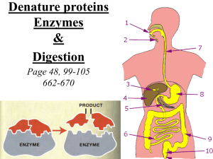 denature proteins-enzymes