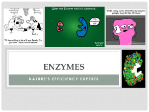 Enzymes - Images