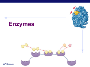Chapter 8: Enzymes
