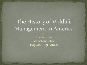 The History of Wildlife Management in America